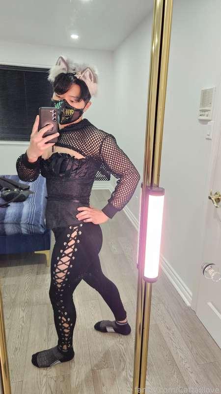 cattaillove image #2