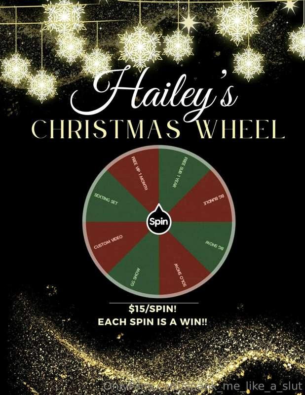 🎡🎄**Hailey's Holiday Extravaganza Wheel** 🎡🎄 By far the BEST..