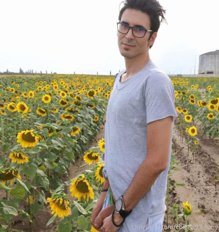 do you like the sun flower ?:))