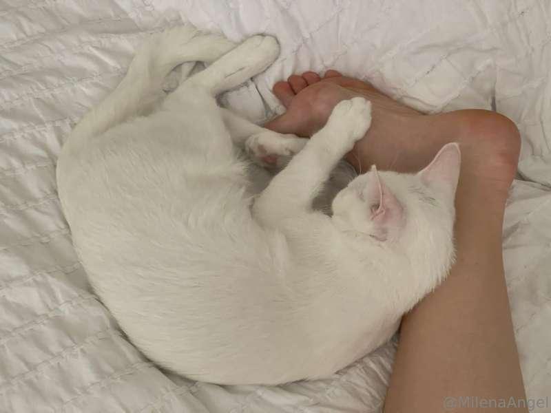 Morning🐱