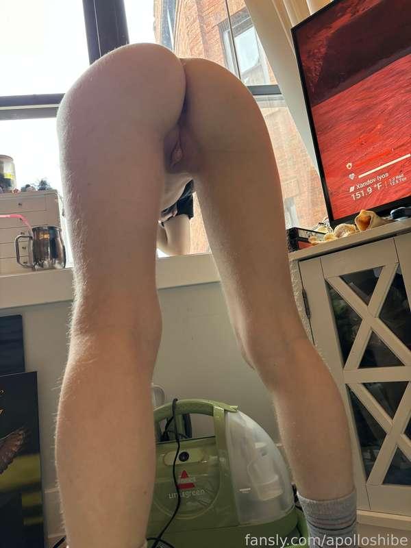 apolloshibe image #1