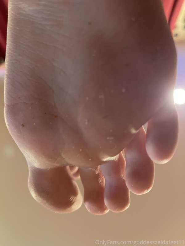 goddesszeldafeet11 image #0