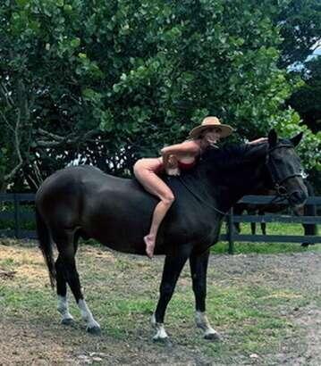 I told my horse a joke, but he was too long in the face to l..