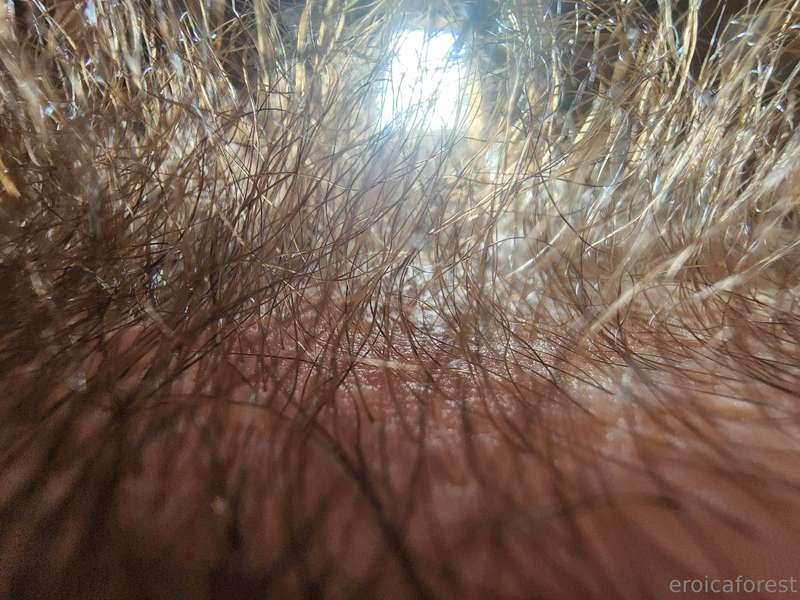 What you see when you bury your face deep into my soft, lush..