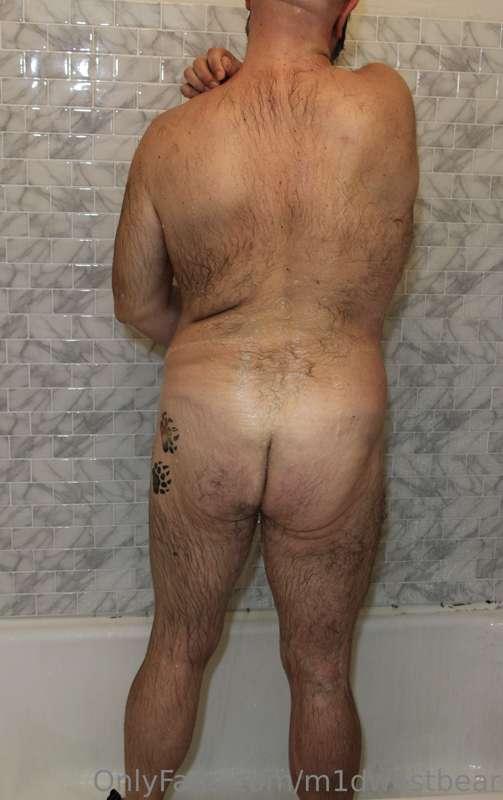 m1dwestbear image #22