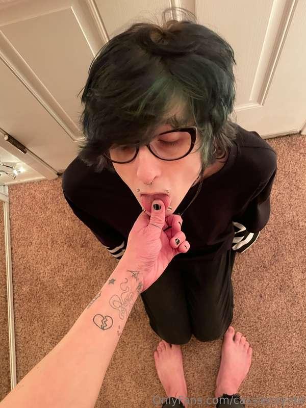 cassiecoyote image #1