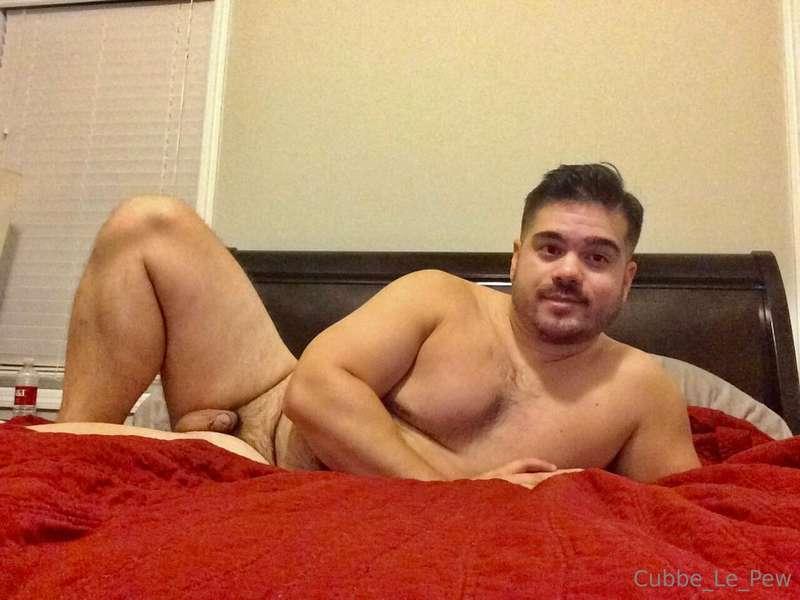 cubbe_le_pew image #2