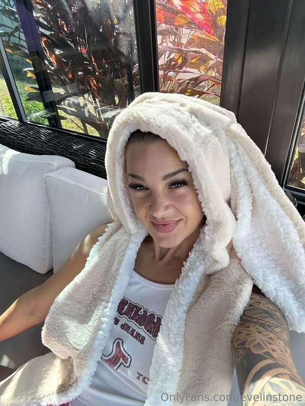 🐰