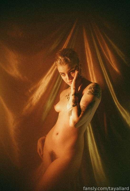 tayallard image #2