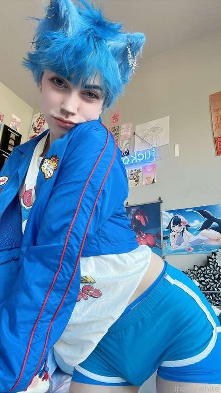 indigowhite image #269
