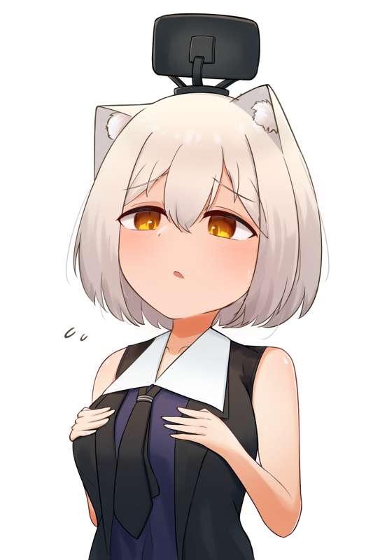 Gepard (bigger)