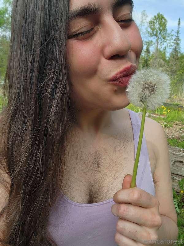 Dandelion love affair 🌼🥰🌼