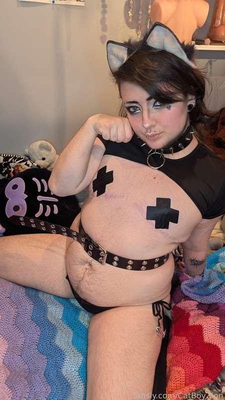 catboyzion image #16