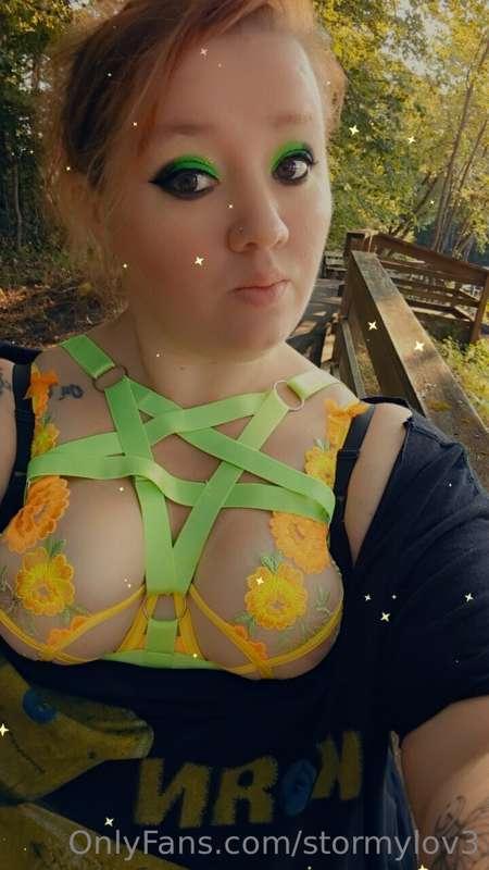 New bra an harness