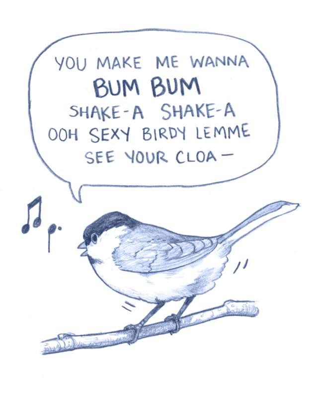 Bum bum shake-a shake-a