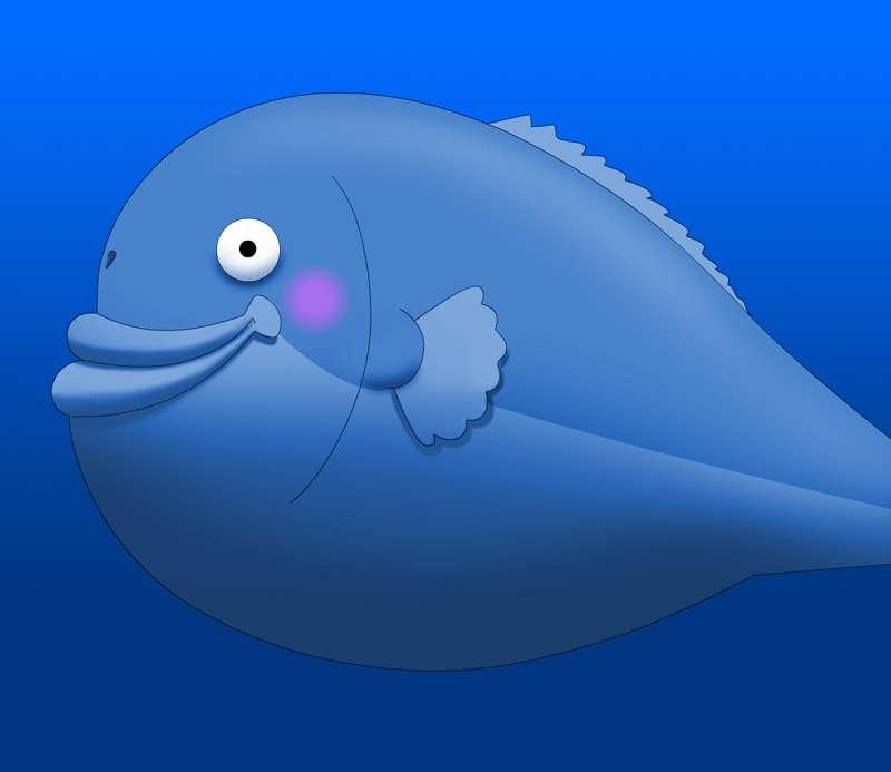 Happy fish