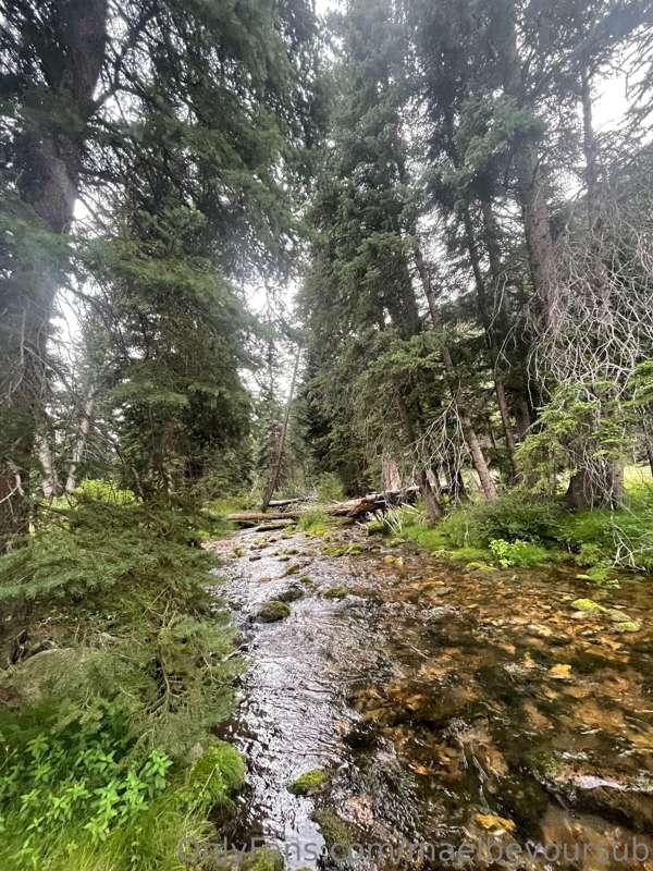 Loved being in nature today! 😍