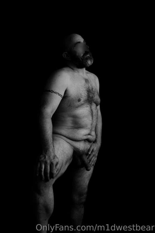m1dwestbear image #16