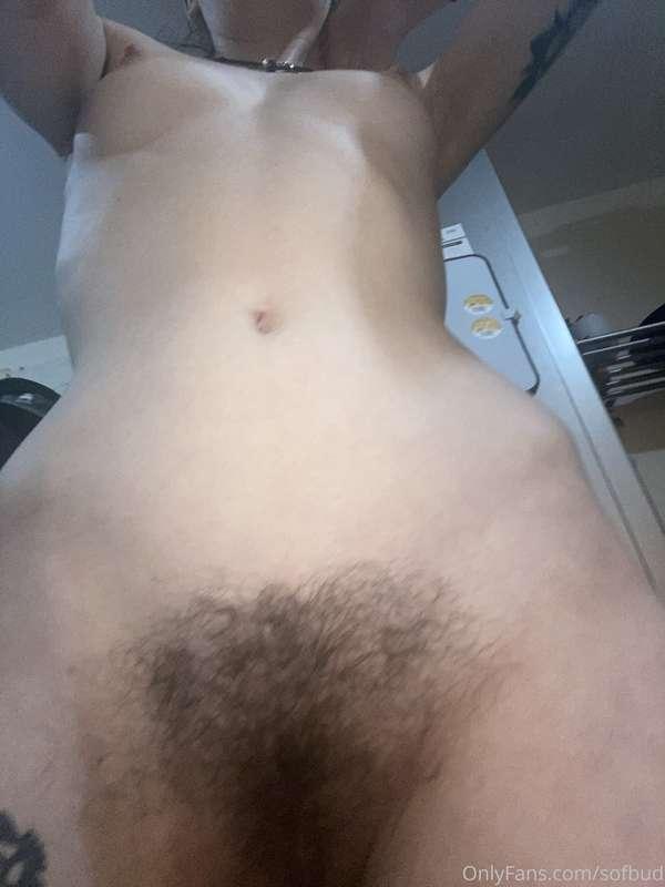sofbud image #3