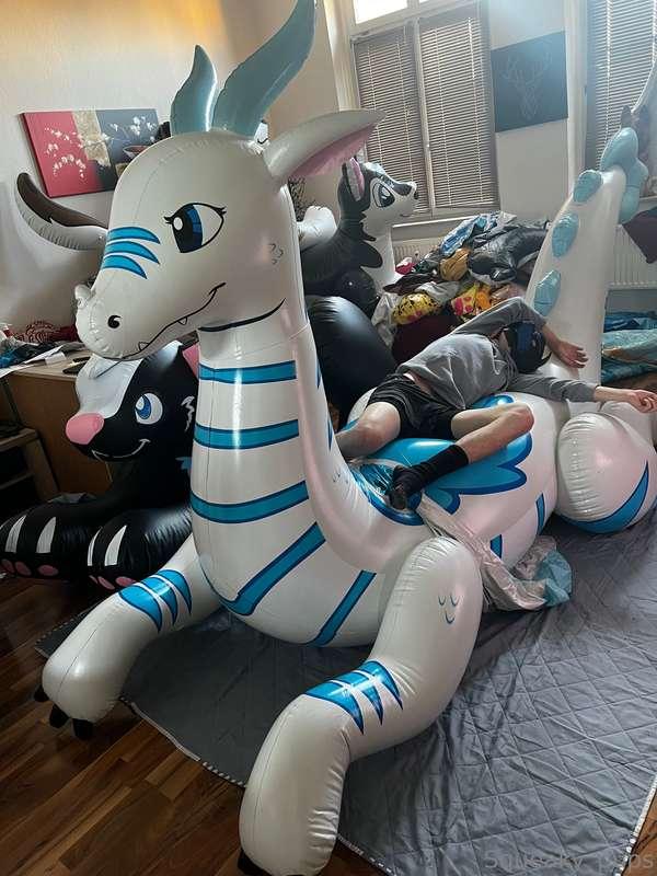 squeaky_pup image #2