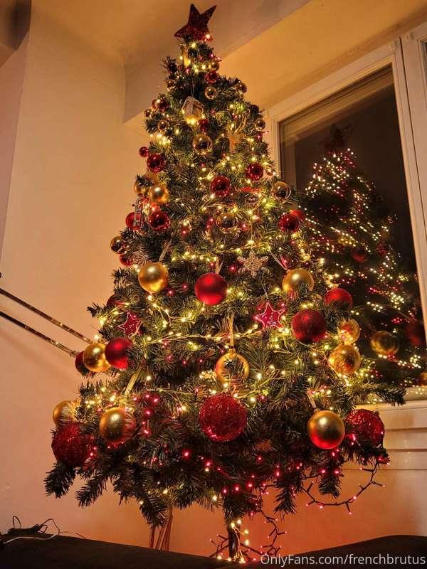 Just the tree for one but I really like it !!