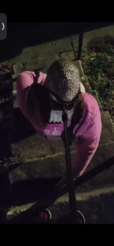 New public wedgie video coming soon!