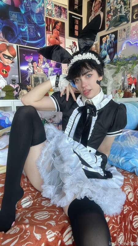 indigowhite image #75
