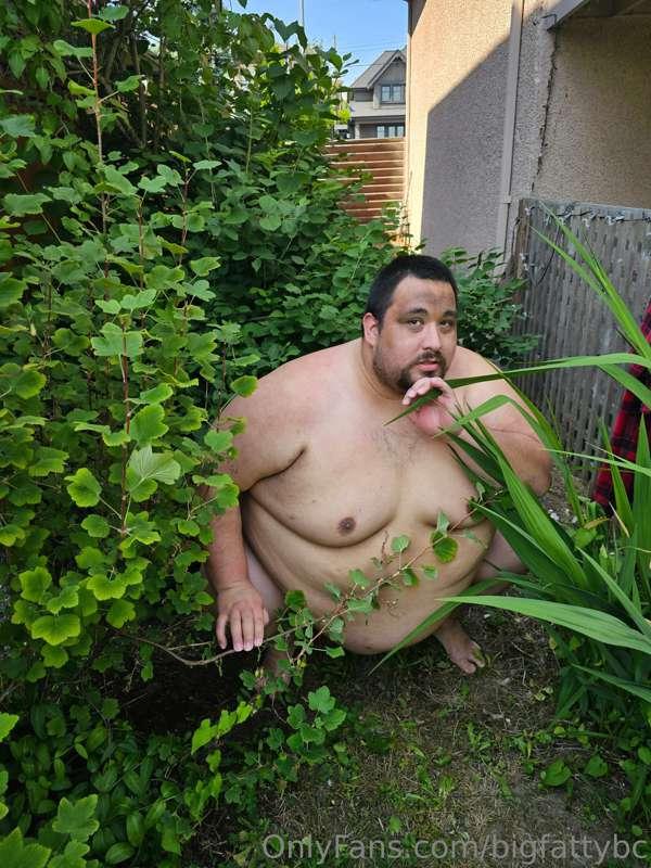 bigfattybc image #0