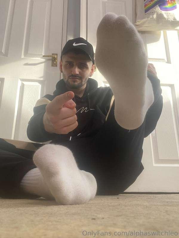 alphaswitchleo image #1