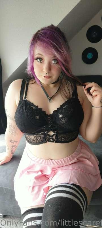 littlescarefox image #3