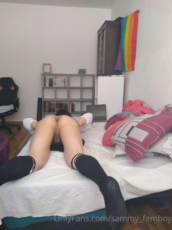 sammy_femboy image #6