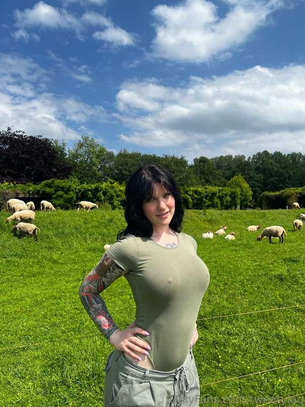 Sheeps🩷