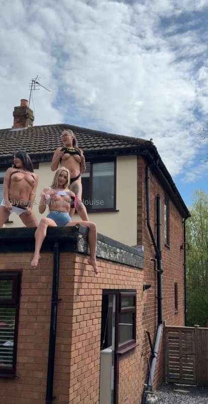 Your new roofer 🤣