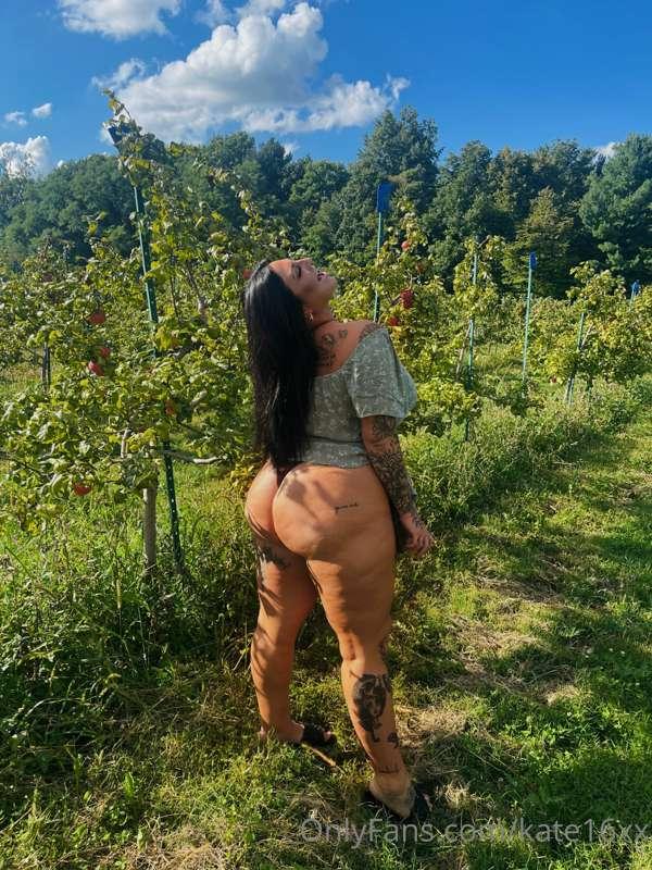 booty in the apple orchard 😉