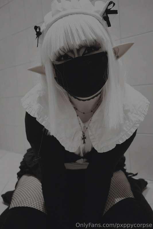 pxppycorpse image #0