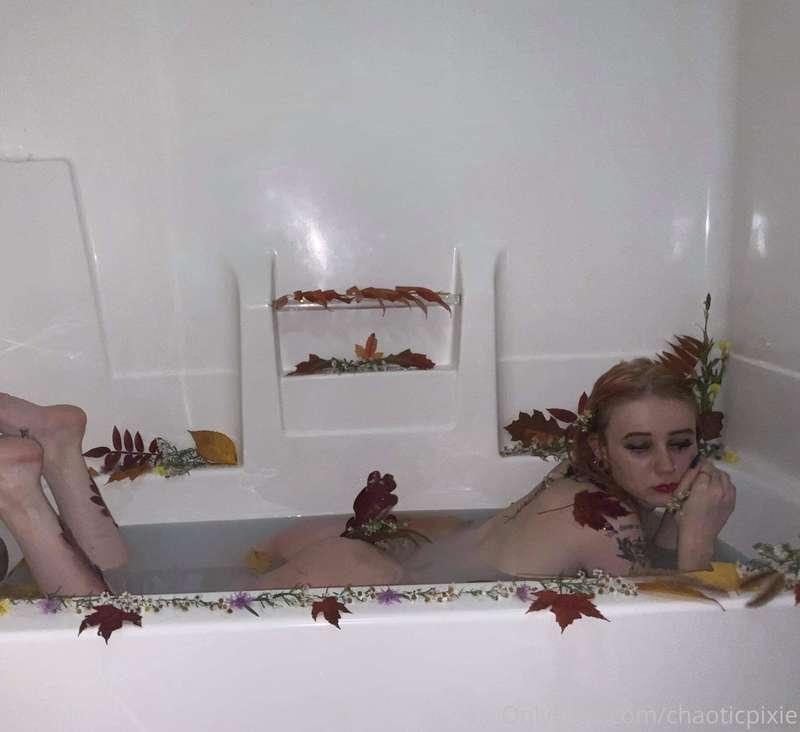 chaoticpixie image #0