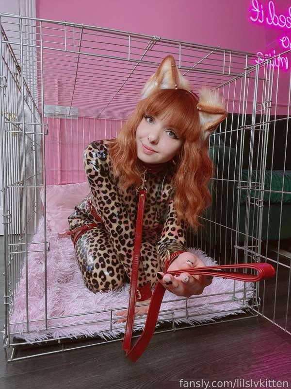 lilslvkitten image #4