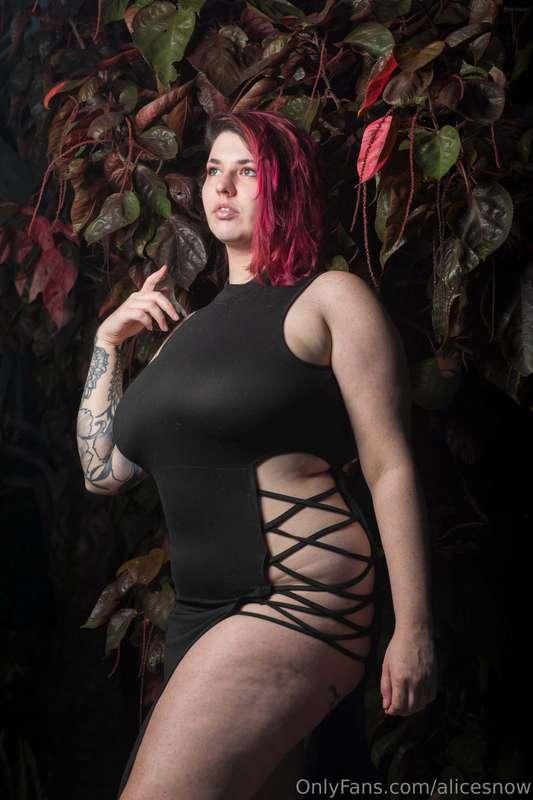 alicesnow image #1