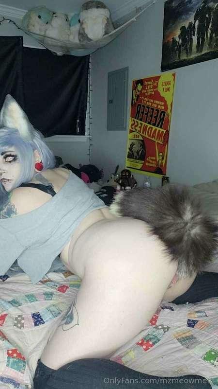 mzmeowmers image #16