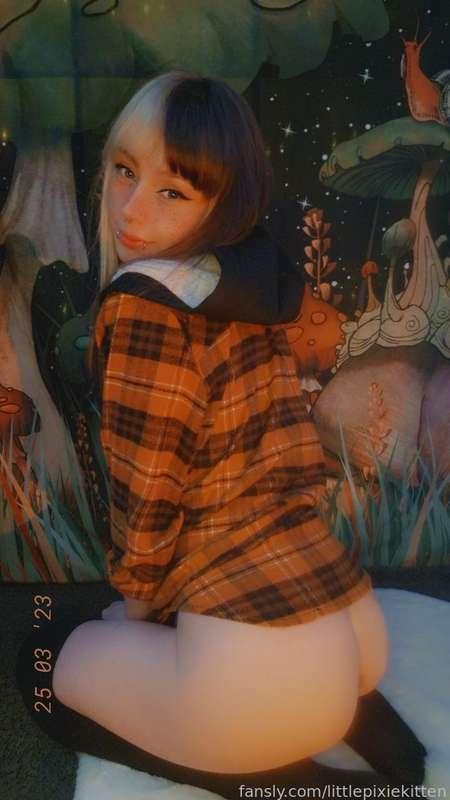 littlepixiekitten image #6