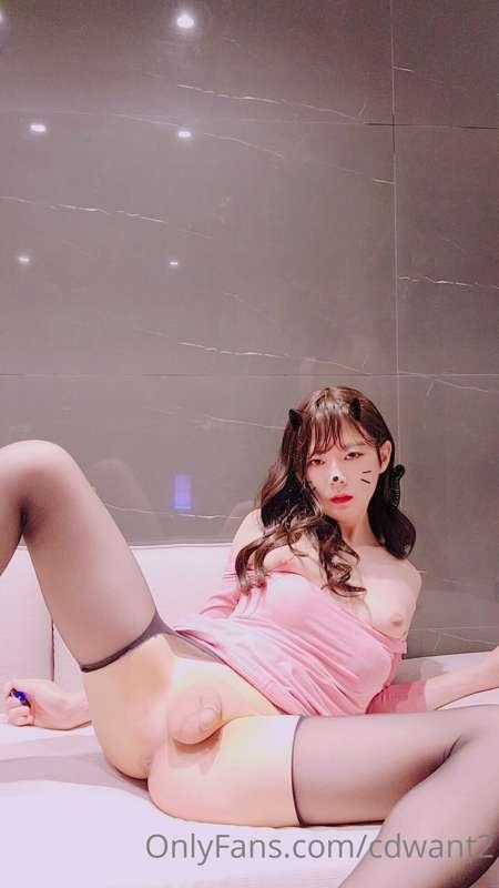 cdwant2 image #7