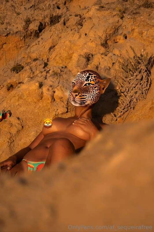 af_sequeirafree image #1