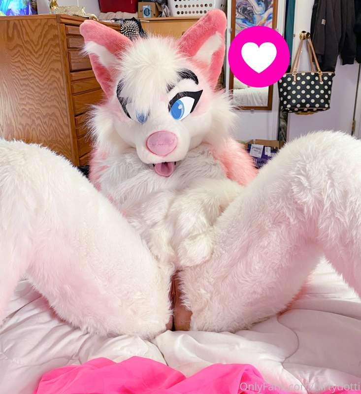 puppy wanna play wiff u!