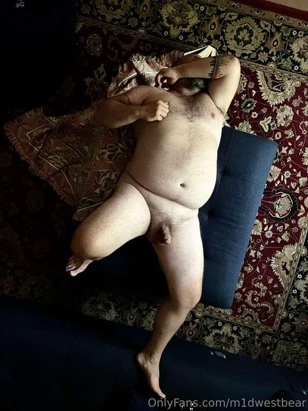 m1dwestbear image #2