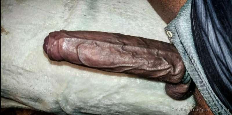 Morning wood as hell 😍