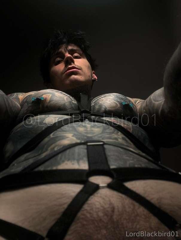 I love seeing you on your knees, it turns me on so damn much..