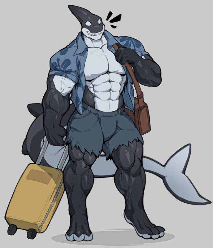 Orca On Vacation ⛱️