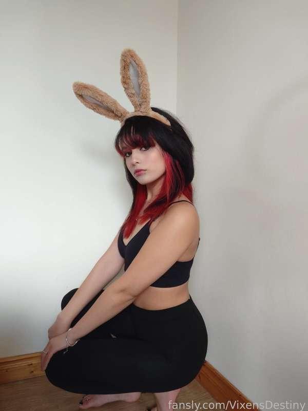 vixensdestiny image #1