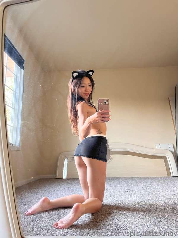 Let me distract you 😼🎂