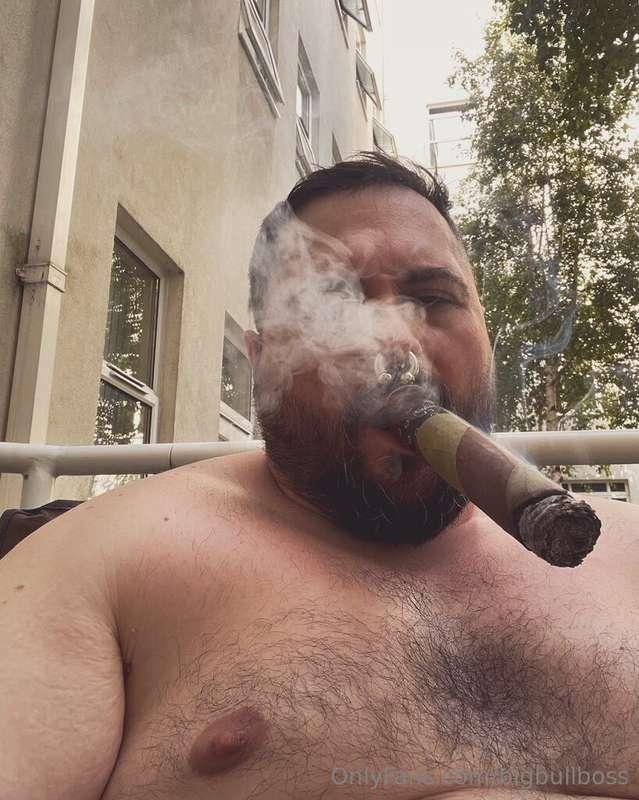 A Cigar horny Bull.